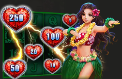 Decoding Dafabet Casino Bonus: Enjoy the Hawaii Beauty Bonus Game缩略图